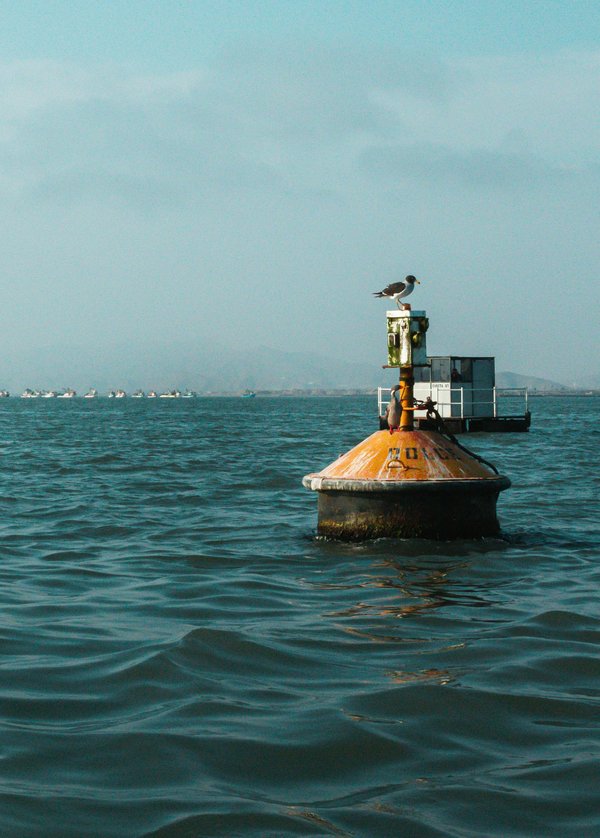 Bouée de données maritimes : innovation au cœur de la mer